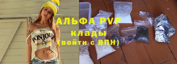 мдпв Каменка