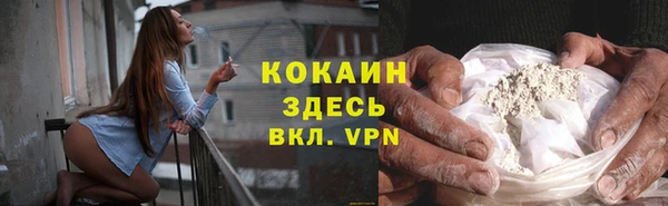 мдпв Каменка
