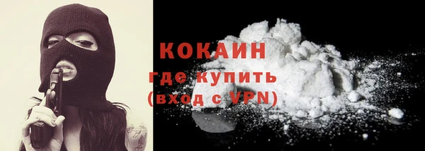 мдпв Каменка