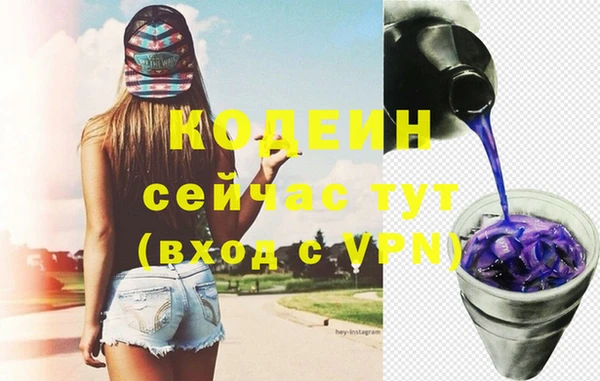 мдпв Каменка