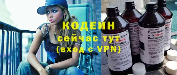 мдпв Каменка