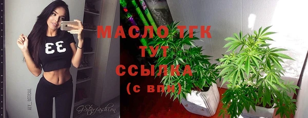 мдпв Каменка